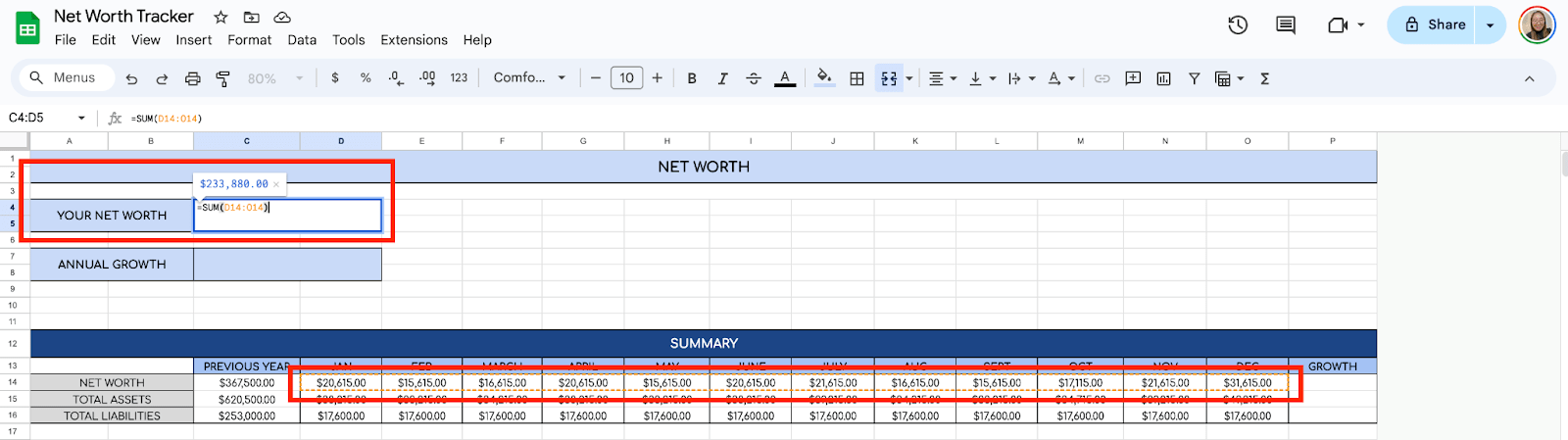 Your Net Worth field
