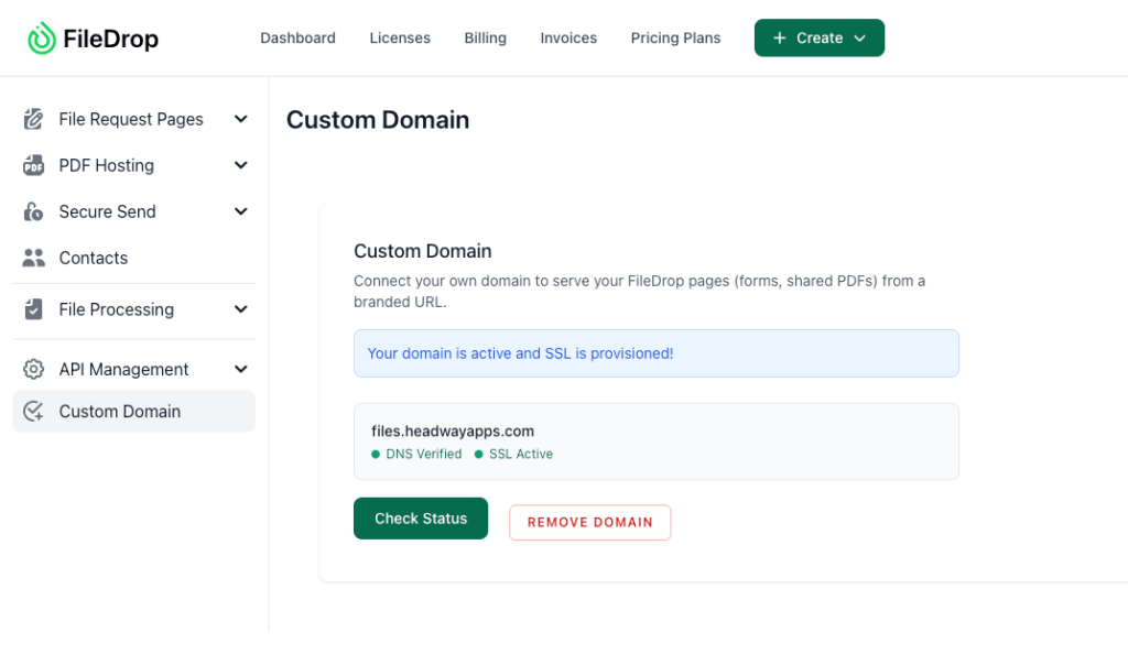custom domain enaled filedrop custom domain enaled filedrop
