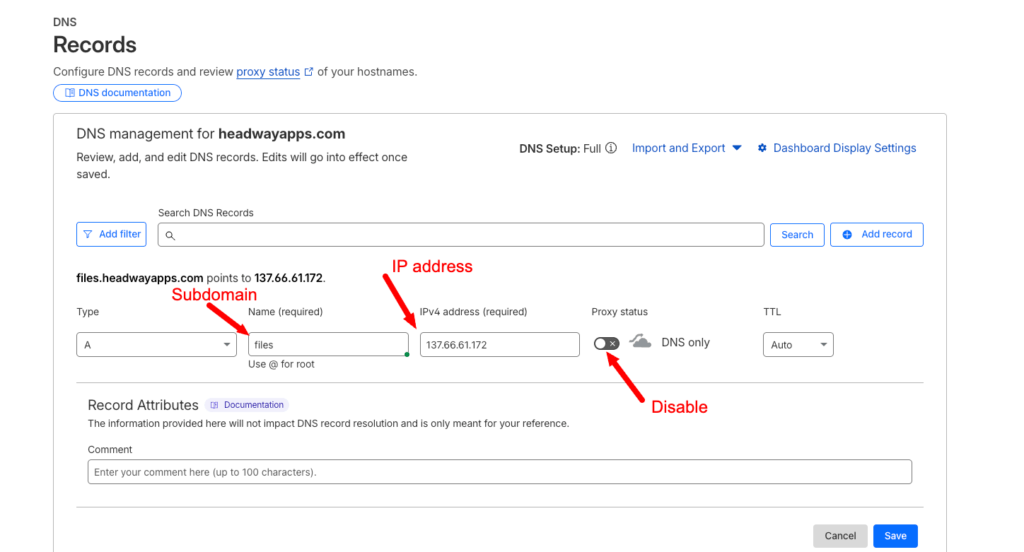 dns setup custom domains