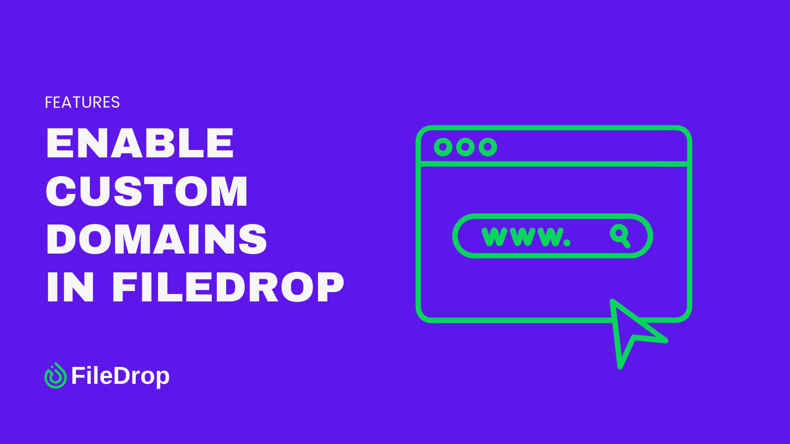 How To Enable Custom Domains In FileDrop - FileDrop